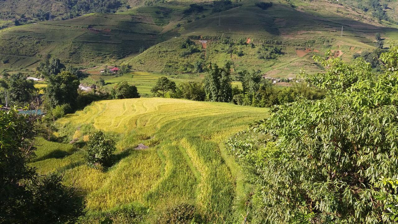 Ta Van Green Hills Homestay Sa Pa Exterior foto